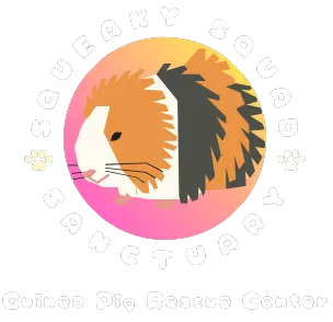 Squeaky Squad Sanctuary - Logo